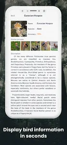 Bird ID - Picture Identifier screenshot 10