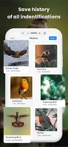 Bird ID - Picture Identifier screenshot 11