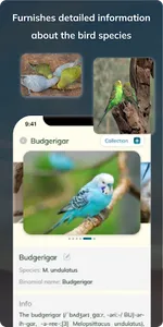 Bird Detect screenshot 10