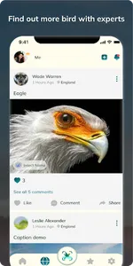 Bird Detect screenshot 11