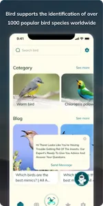 Bird Detect screenshot 9