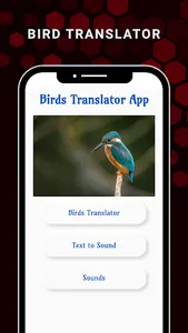 All Birds Voice Translator App screenshot 8