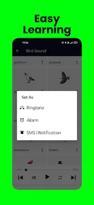Bird Sound screenshot 3