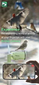BirdsyCam screenshot 0