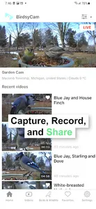 BirdsyCam screenshot 1