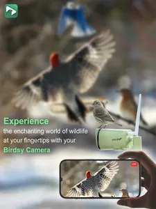 BirdsyCam screenshot 4