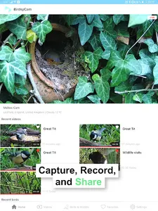 BirdsyCam screenshot 5