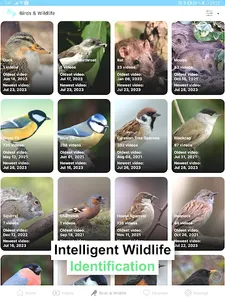 BirdsyCam screenshot 6