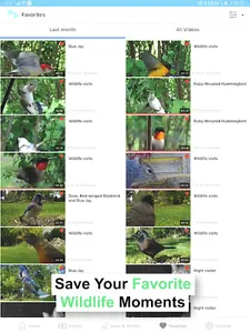 BirdsyCam screenshot 7