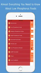 Phosphorus Foods Diet Guide screenshot 13