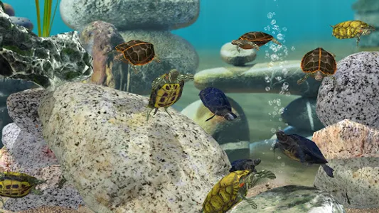 Fish Farm 3 - Aquarium screenshot 15