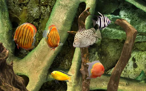 MyLake 3D Aquarium screenshot 0