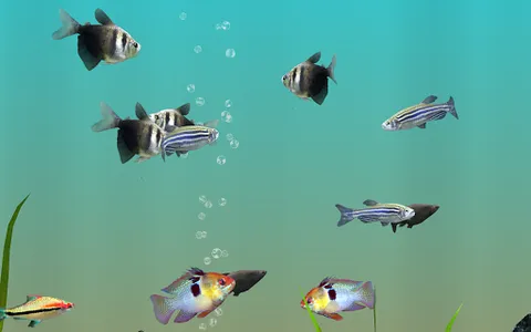 MyLake 3D Aquarium screenshot 14