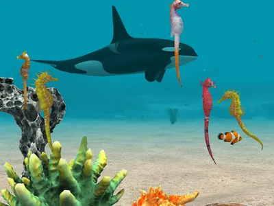 Seahorse 3D screenshot 12