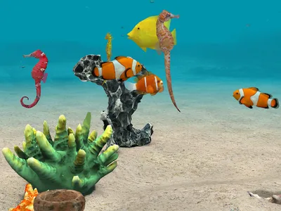 Seahorse 3D screenshot 8