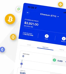 BoundlessPay screenshot 14