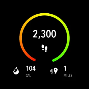 ActivityTracker Pedometer screenshot 5