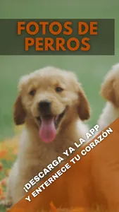 Fotos de Perros screenshot 0