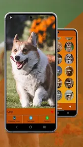 Fotos de Perros screenshot 1