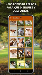 Fotos de Perros screenshot 2