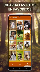 Fotos de Perros screenshot 4