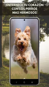 Fotos de Perros screenshot 6
