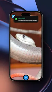 Black Mamba Wallpaper screenshot 2