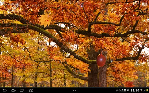 Autumn Landscape Wallpaper screenshot 12