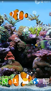 Coral Fish 3D Live Wallpaper screenshot 0