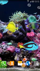 Coral Fish 3D Live Wallpaper screenshot 4