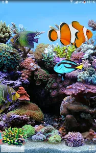 Coral Fish 3D Live Wallpaper screenshot 5