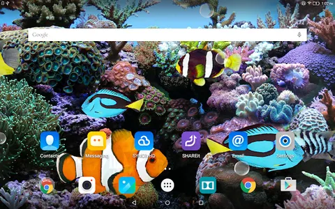 Coral Fish 3D Live Wallpaper screenshot 7