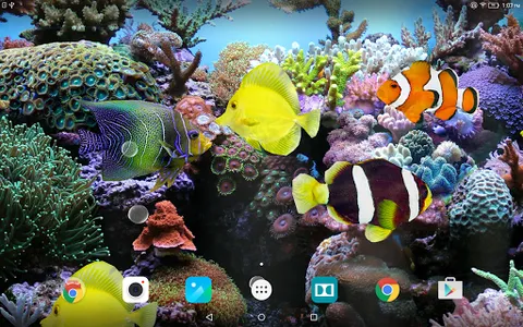 Coral Fish 3D Live Wallpaper screenshot 8