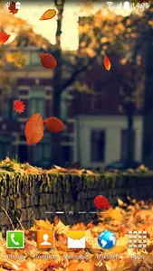 Autumn Wallpaper screenshot 4