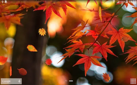 Autumn Wallpaper screenshot 9