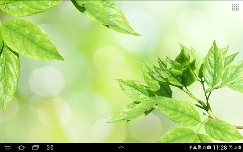 Leaves Live Wallpaper screenshot 5