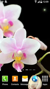 Orchids Wallpaper screenshot 1