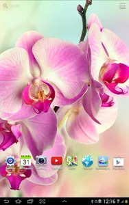 Orchids Wallpaper screenshot 10