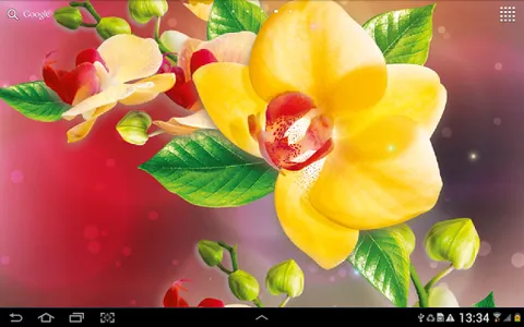 Orchids Wallpaper screenshot 7