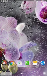 Orchids Live Wallpaper screenshot 6