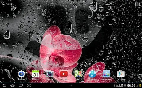 Orchids Live Wallpaper screenshot 9