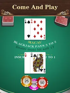 Blackjack: 21 Casino Card Game screenshot 14