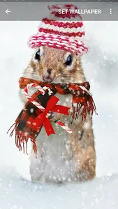 Christmas Wallpapers screenshot 3