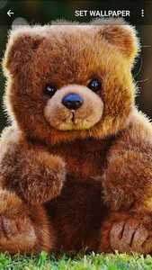 Teddy Bear Wallpapers screenshot 1