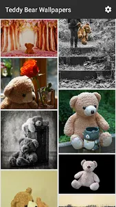 Teddy Bear Wallpapers screenshot 3
