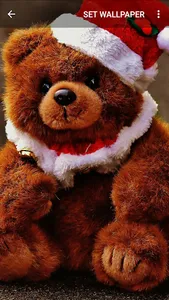 Teddy Bear Wallpapers screenshot 4