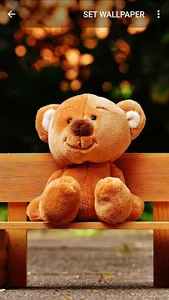 Teddy Bear Wallpapers screenshot 5