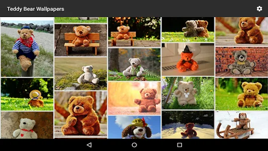 Teddy Bear Wallpapers screenshot 6