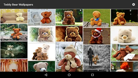 Teddy Bear Wallpapers screenshot 8