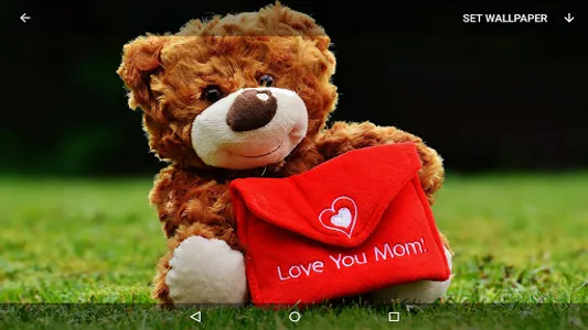 Teddy Bear Wallpapers screenshot 9